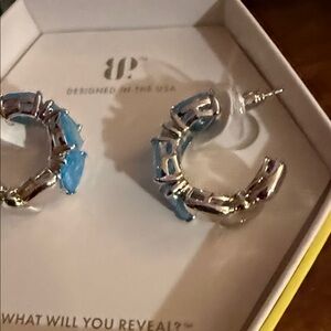 Chic Silver and Blue Hoop Earrings
